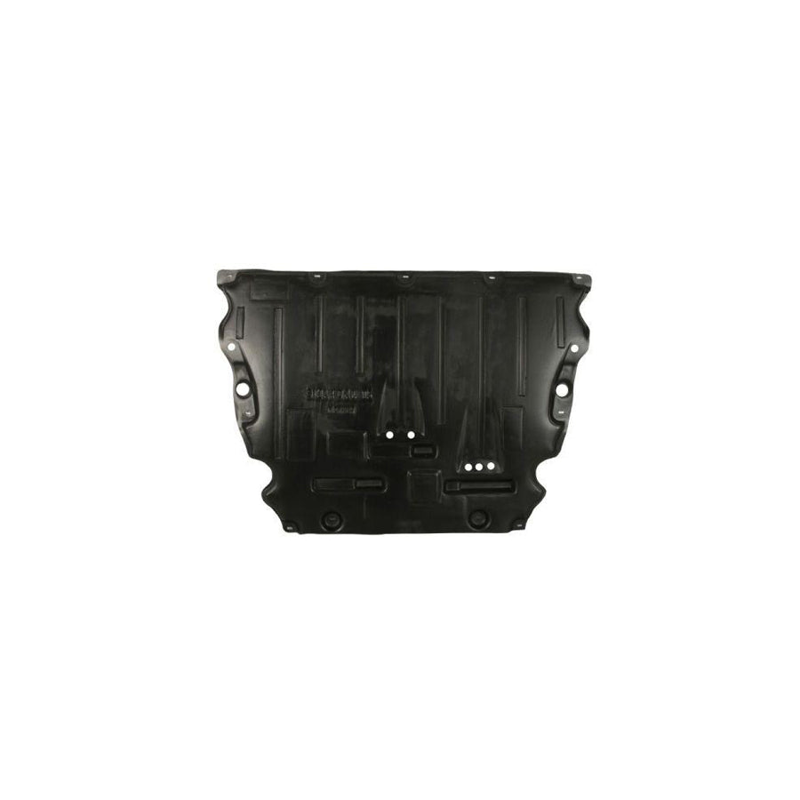 Blic 6601-02-2583861P Engine Cover