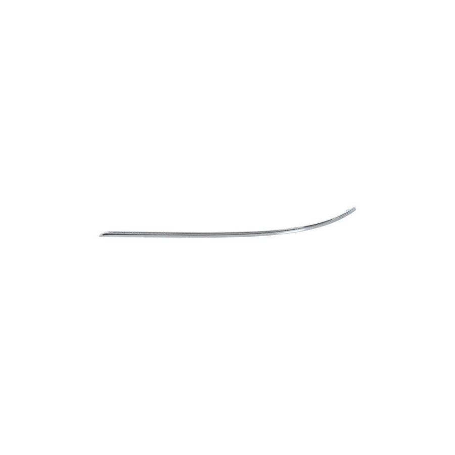 Blic 5703-05-3518973P Bumper Moulding Suitable for Mercedes-Benz C-Class