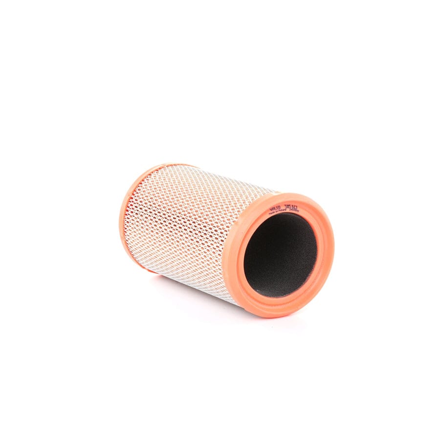 Valeo 585613 Air Filter
