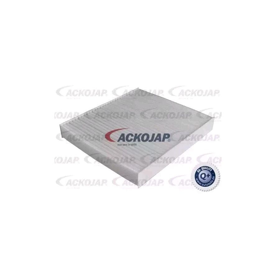 Ackoja A38-30-0007 Pollen Filter