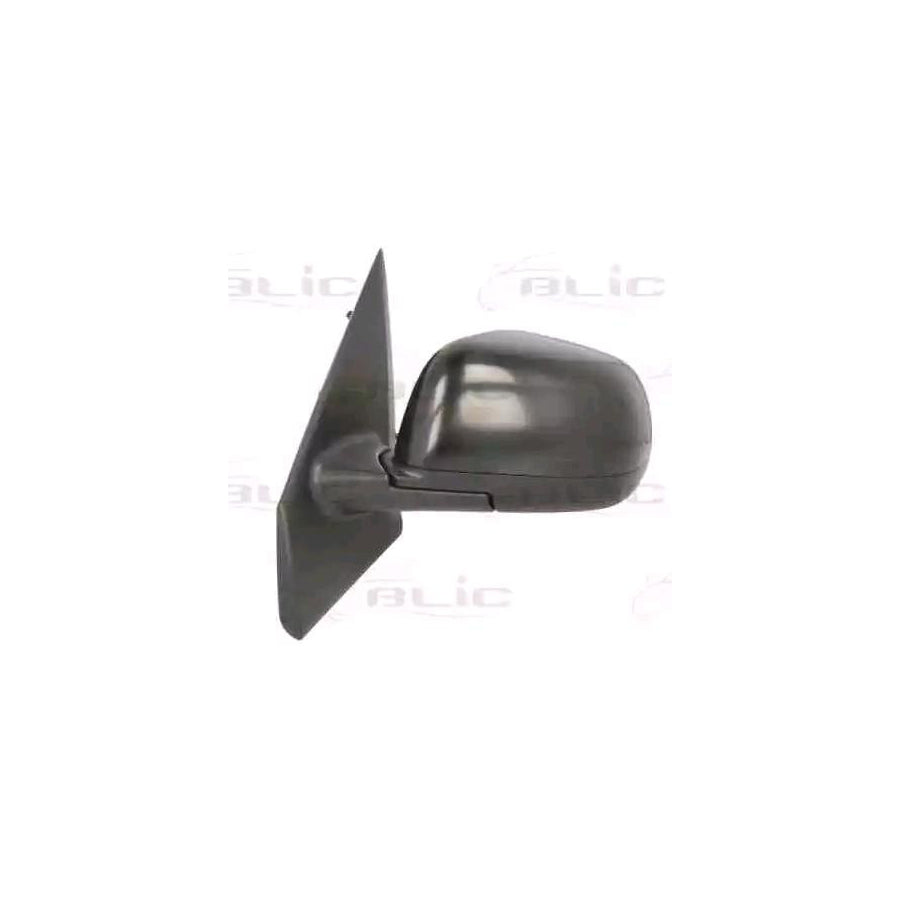 Blic 5402-67-004367P Wing Mirror