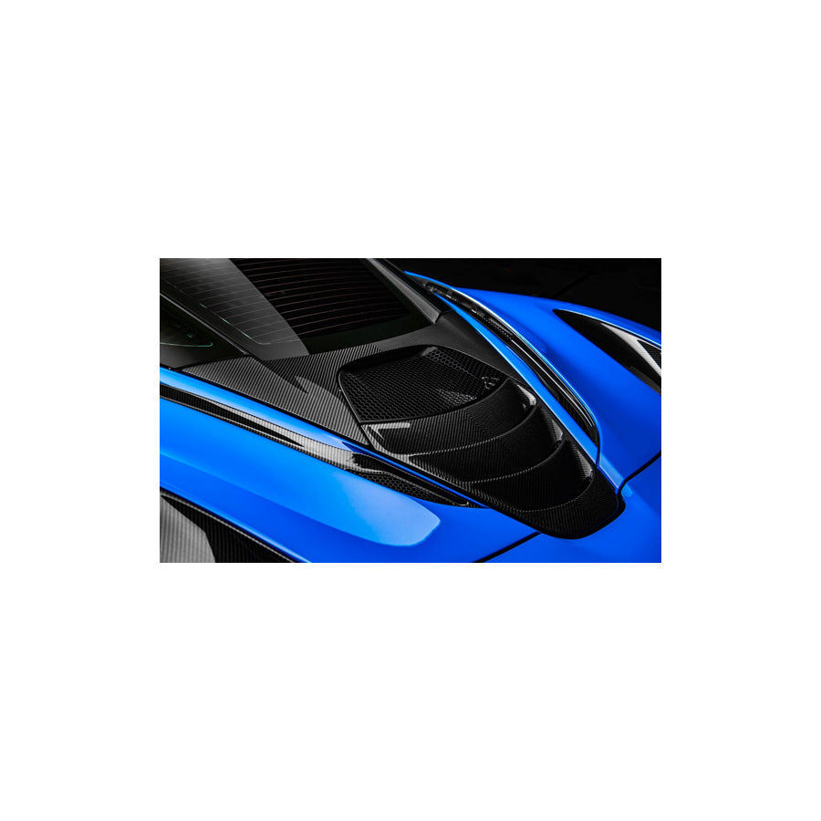 Genuine Mclaren 720S Corbon Fiber Rear Aero Bridge |