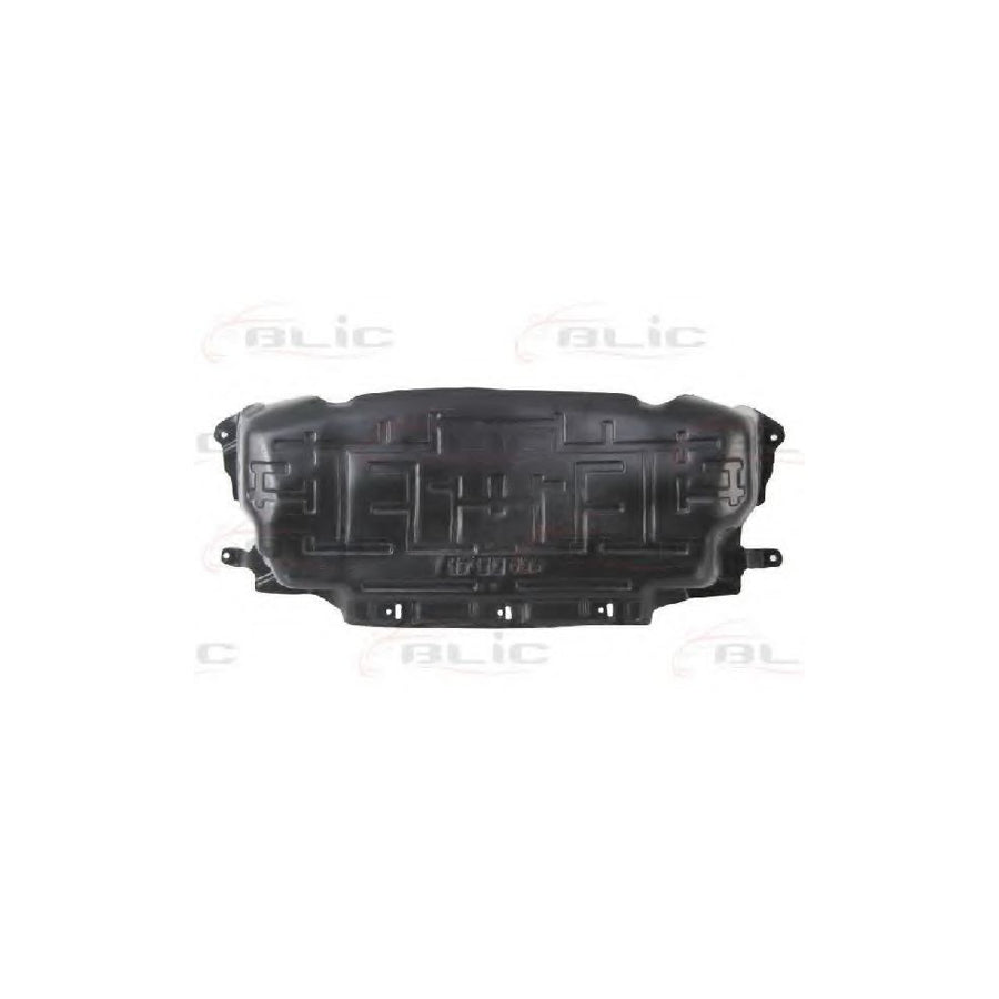 Blic 6601-02-3548880P Engine Cover