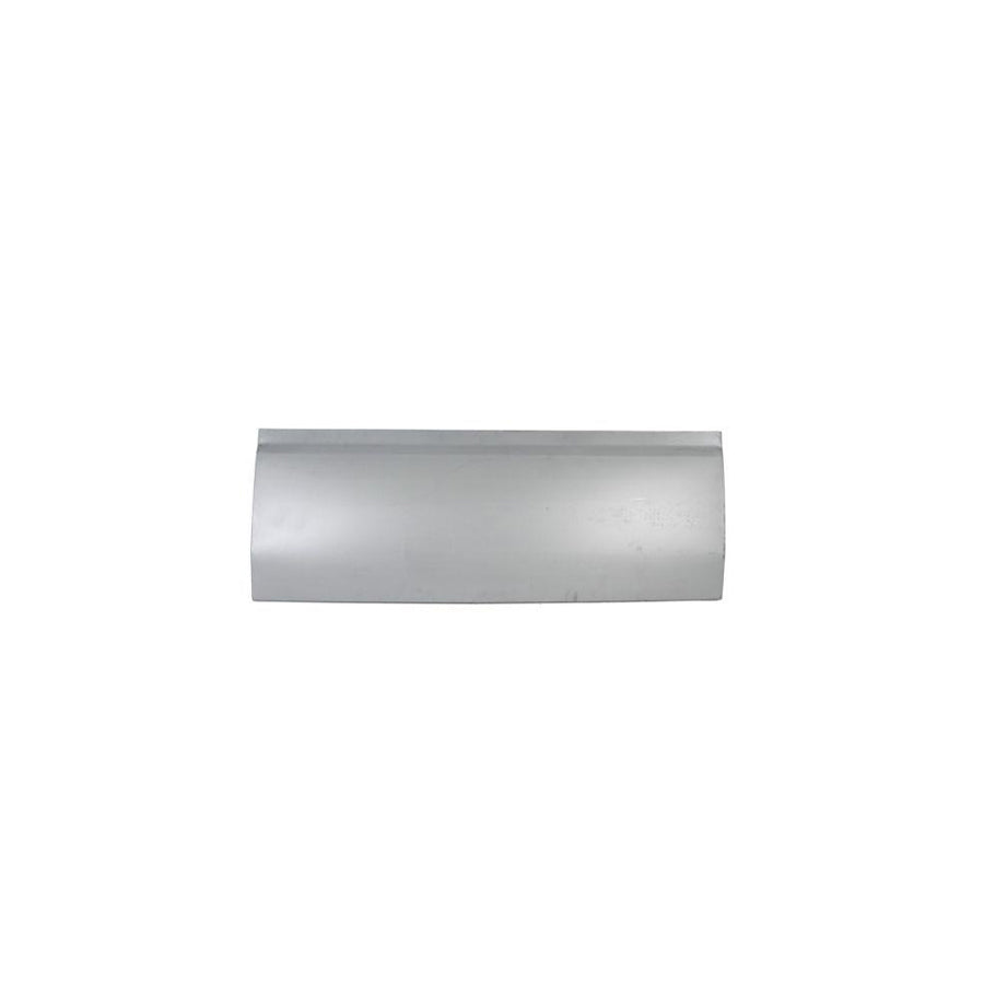 Blic 6505-06-2092110P Door, Body