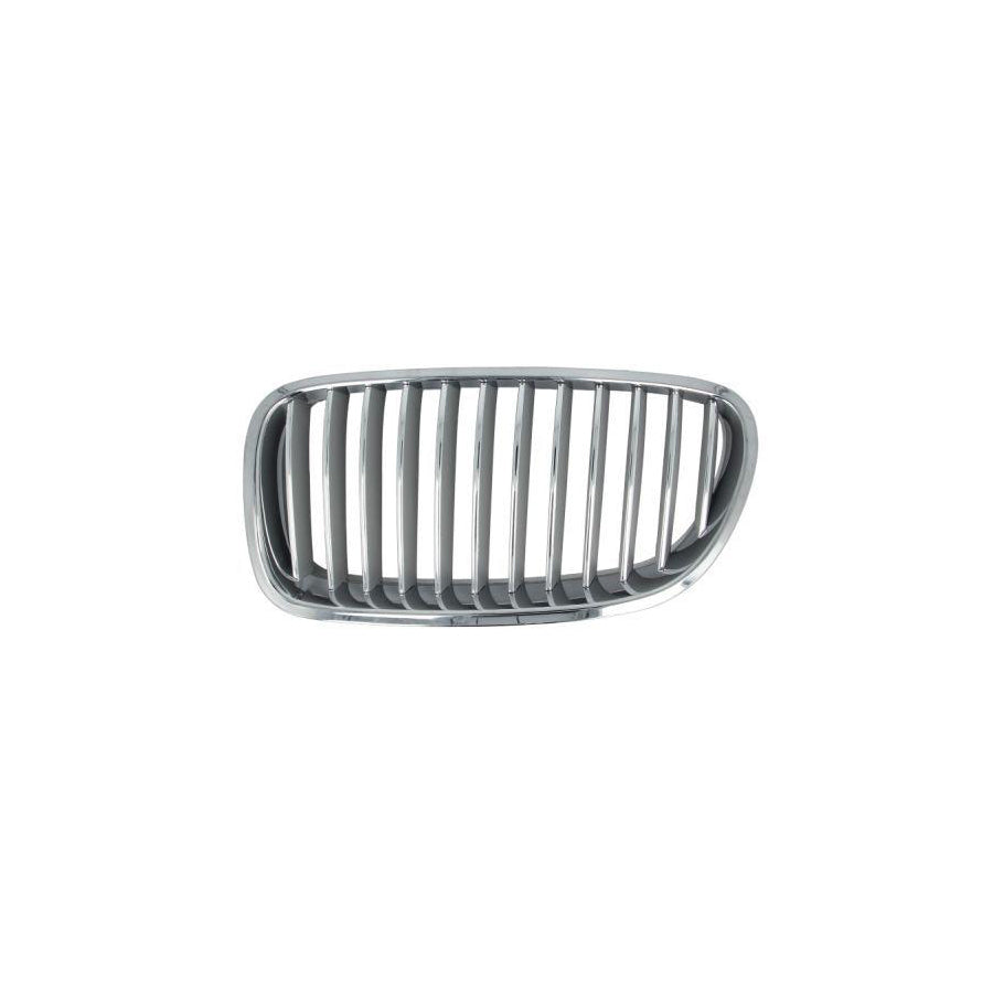 Blic 6502-07-0067995P Radiator Grille for BMW 5 Series