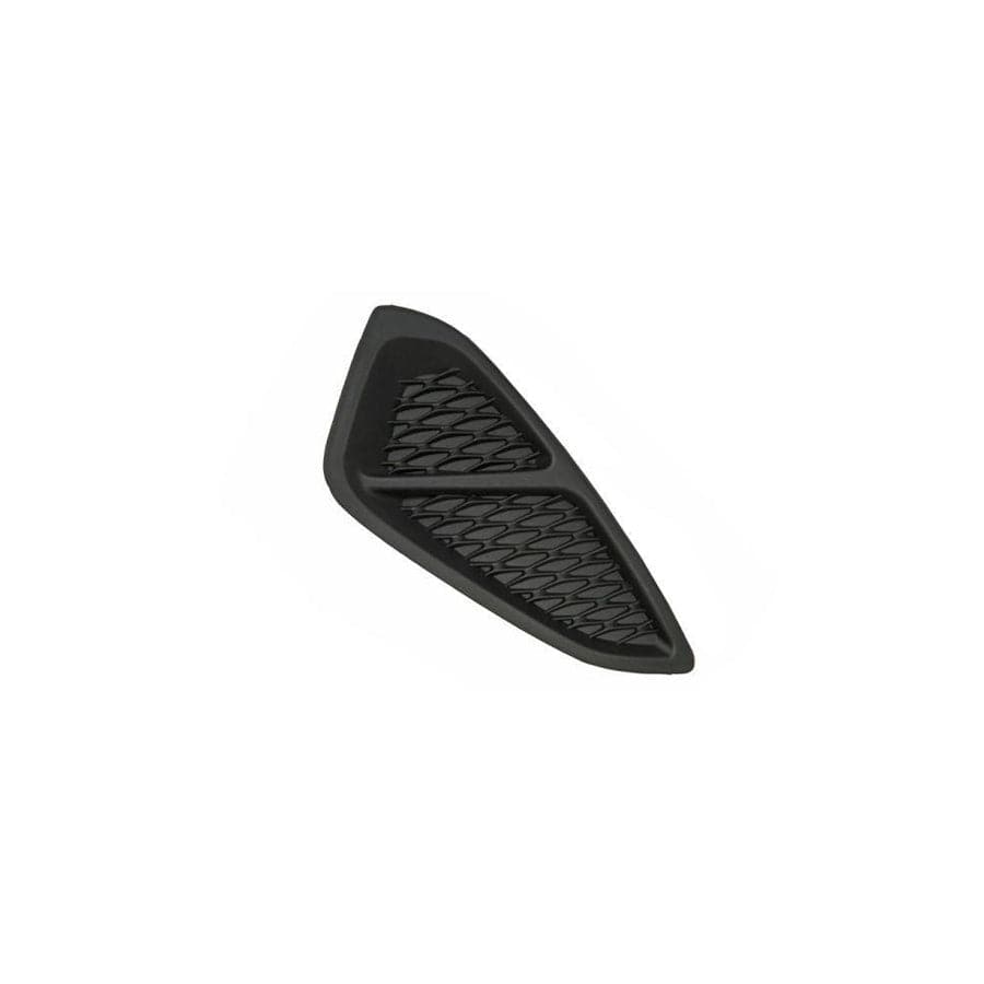 Blic 6502-07-2566994P Bumper Grill for Ford Fiesta Mk7 Hatchback