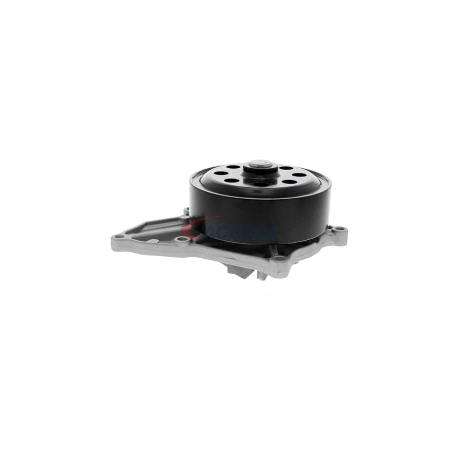 Ackoja A26-0700 Water Pump