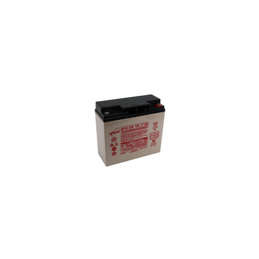 Enersys NP18-12 Genesis SLA Battery 12v 17.2Ah