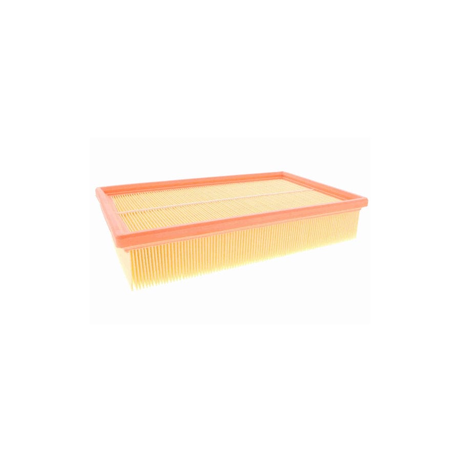 Vaico V10-0600 Air Filter