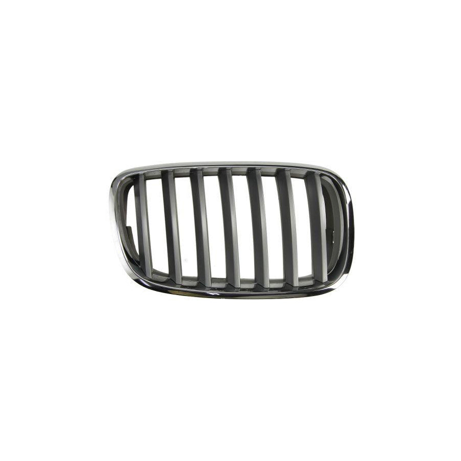 Blic 6502-07-0096992Pp Radiator Grille