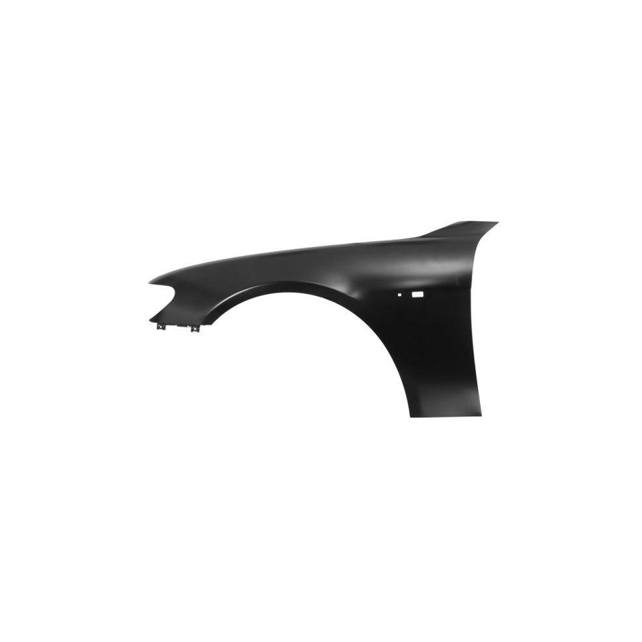 Blic 6504-04-0076313P Wing Fender for BMW 7 (E65, E66, E67)