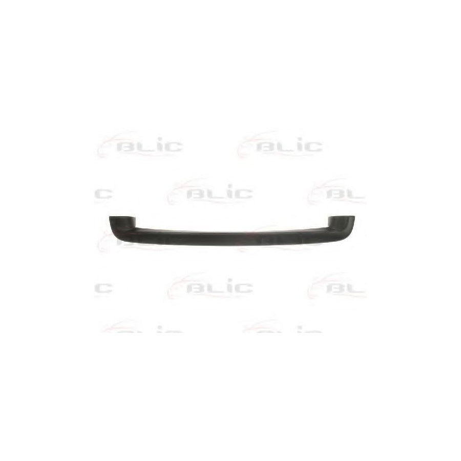 Blic 5513-00-3126921P Trim / Protective Strip, Radiator Grille for Hyundai Amica (MX)
