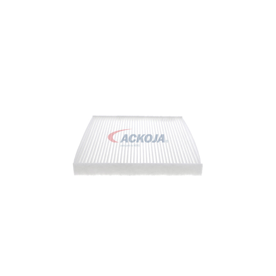 ACKOJA A38-30-0003 Pollen Filter