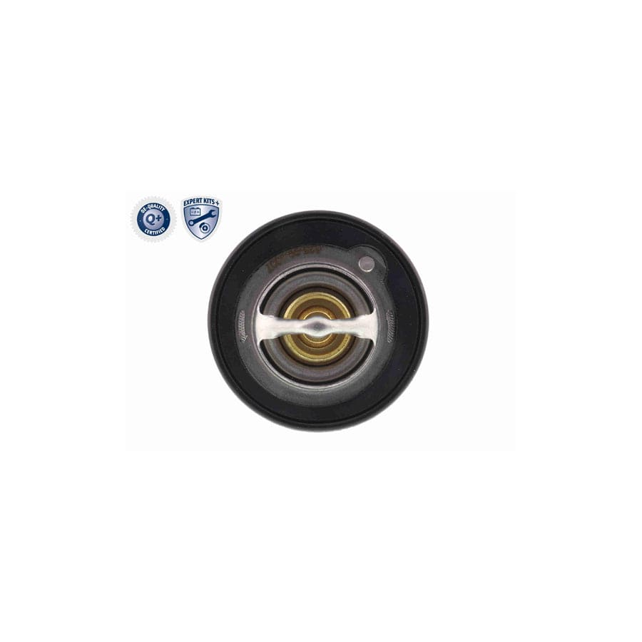 Ackoja A51-99-0004 Engine Thermostat