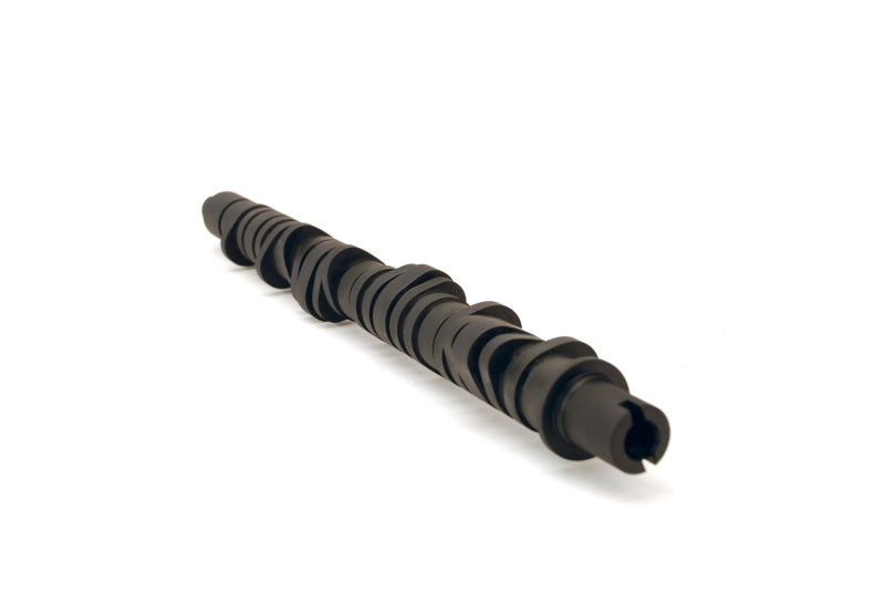 Skunk2 Racing Skunk2 Tuner Series D-Series Honda Stage 4 Camshaft