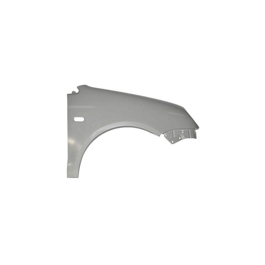 Blic 6504-04-9506312P Wing Fender for VW Polo