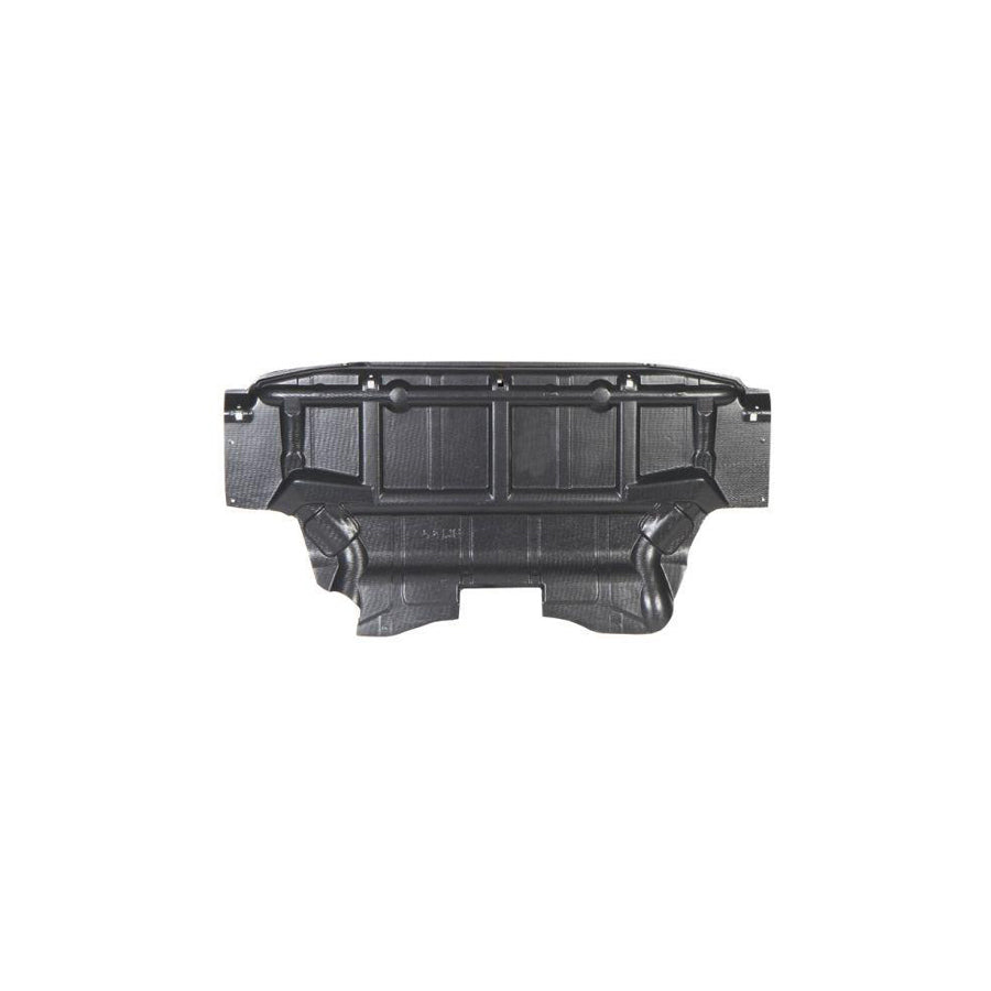 Blic 6601-02-0095860P Engine Cover for BMW X5 (E53)