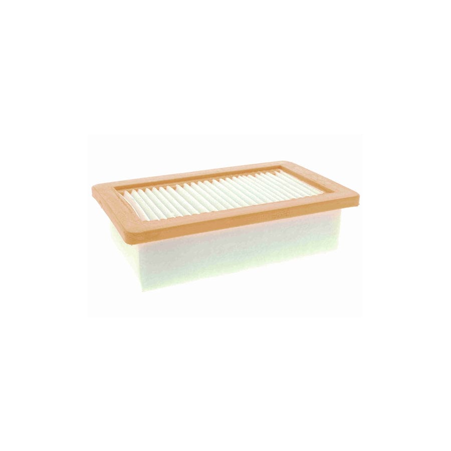 Vaico V30-9653 Air Filter