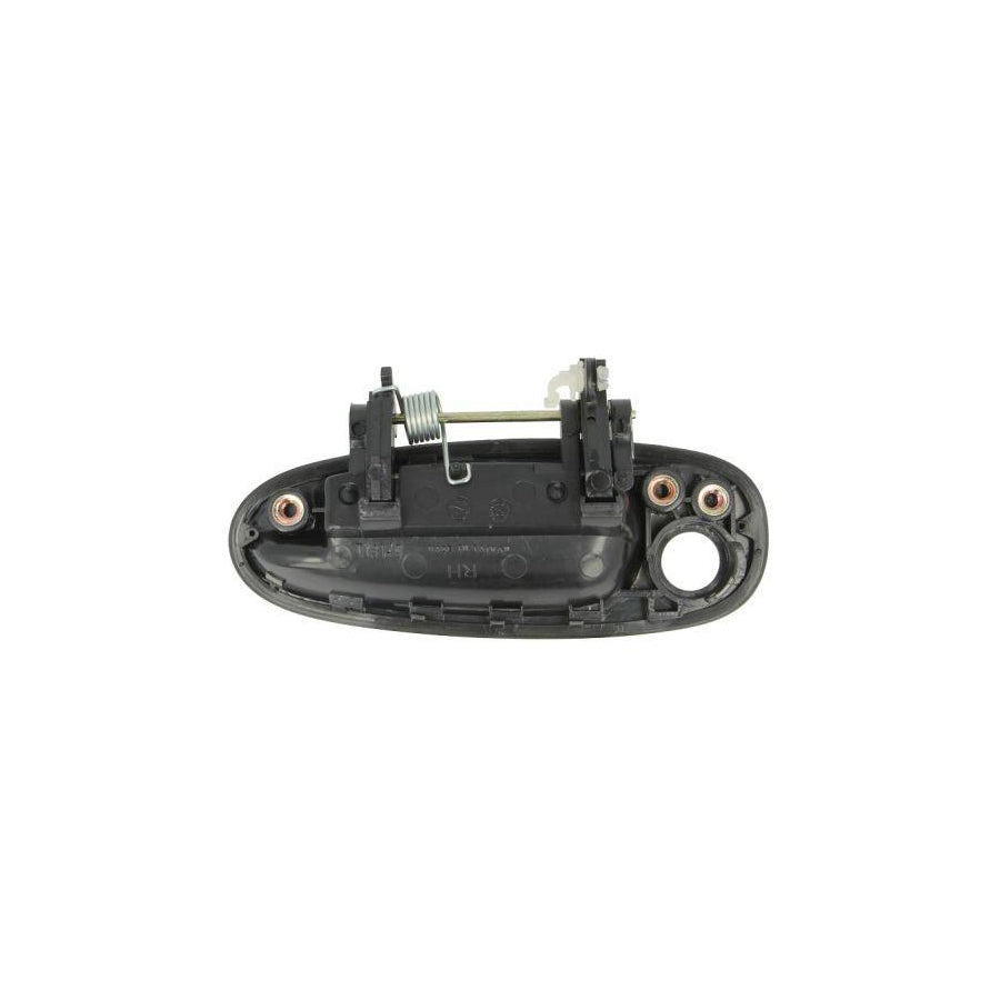Blic 6010-19-002402P Door Handle