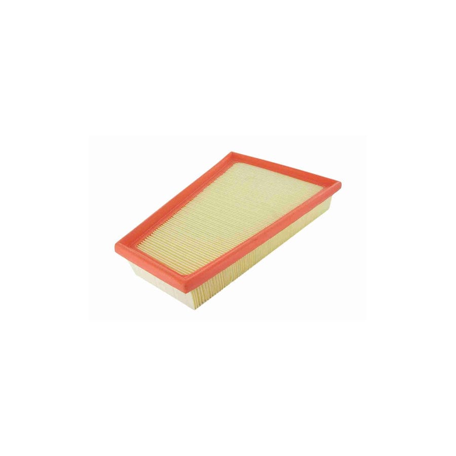 Vaico V42-0118 Air Filter