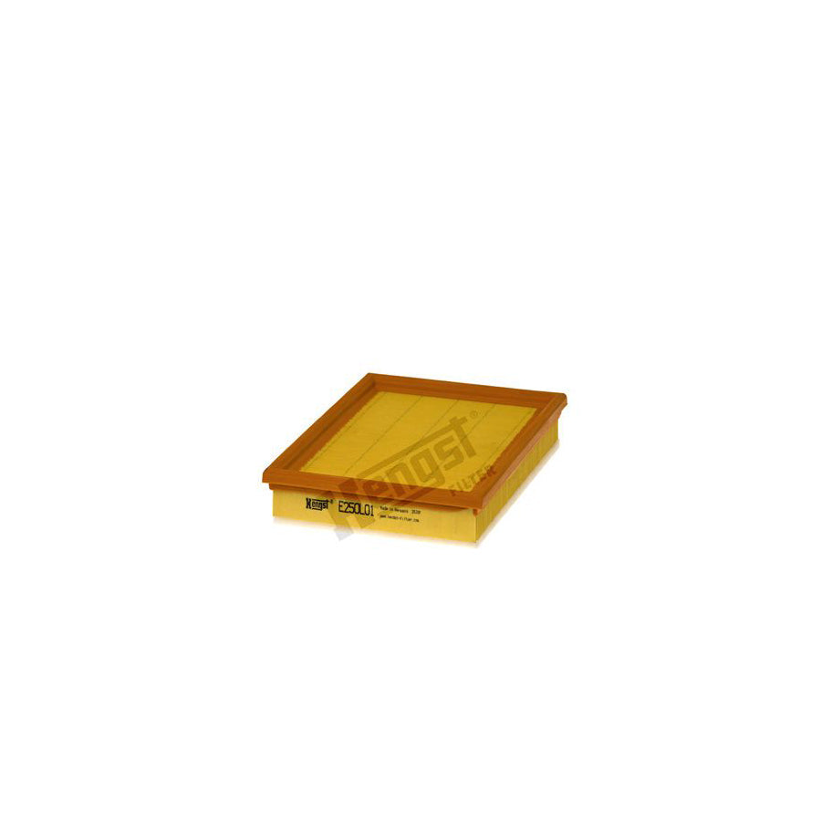 Hengst Filter E250L01 Air Filter