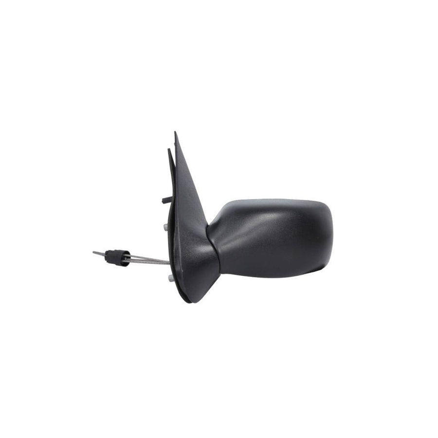 Blic 5402-03-2002827P Wing Mirror