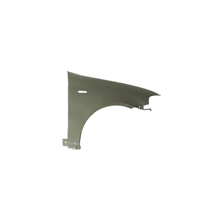 Blic 6504-04-2007314P Wing Fender