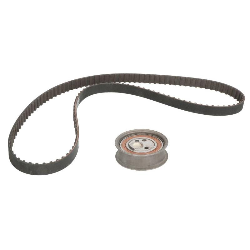 INA 530039210 Timing Belt Set
