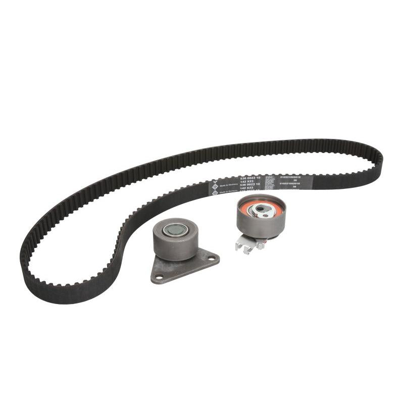 INA 530006310 Timing Belt Set