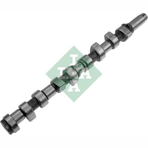 INA 428004210 Camshaft