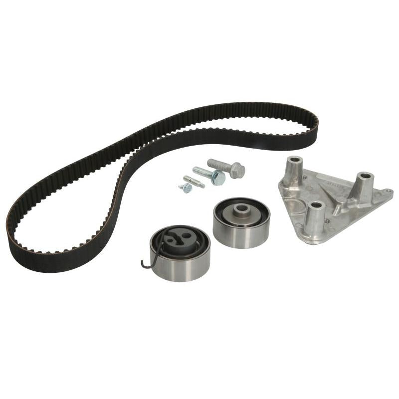 INA 530049210 Timing Belt Set