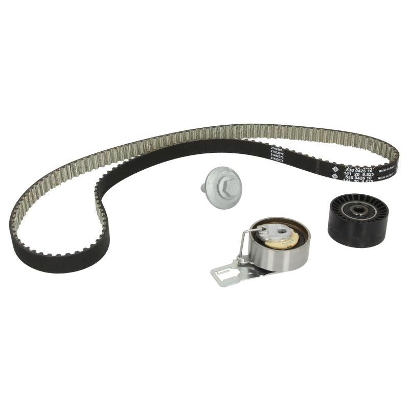 INA 530069810 Timing Belt Set