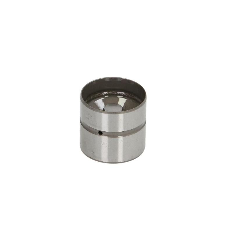 INA 420021110 Tappet
