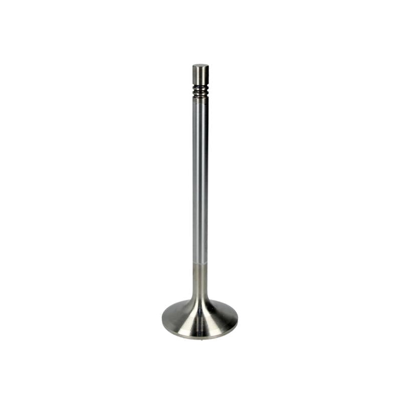 TRW 25300 Intake Valve