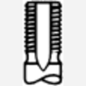 TRW 261118 Exhaust Valve
