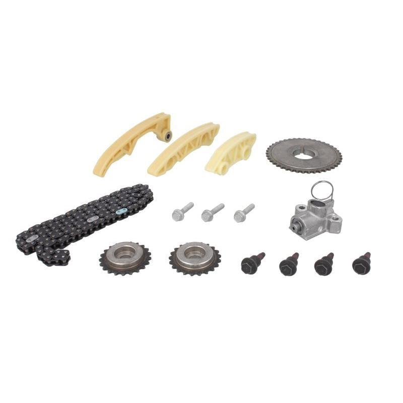 INA 559006110 Timing Chain Kit