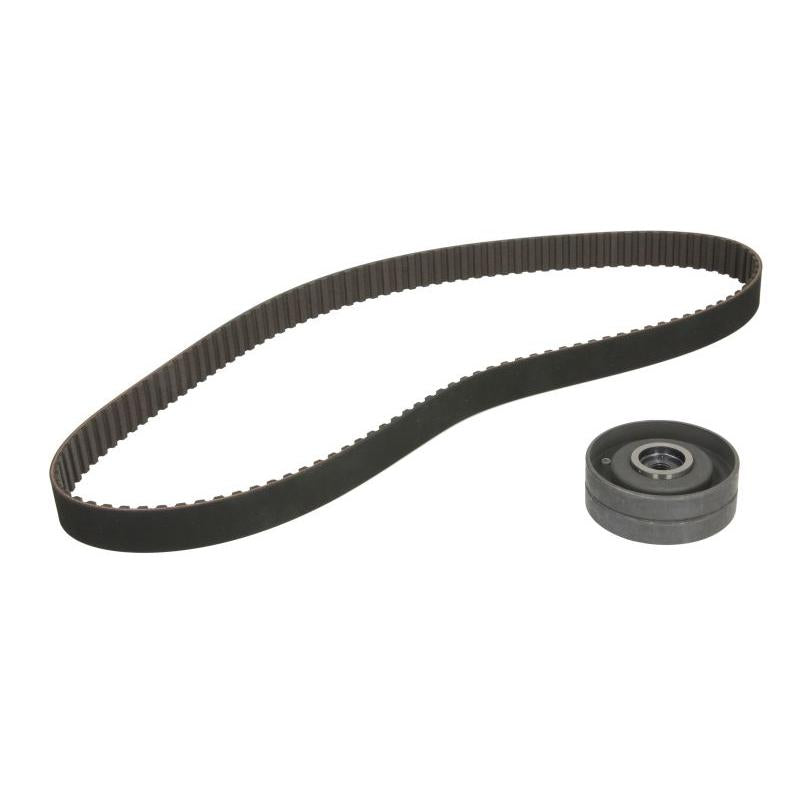 INA 530015210 Timing Belt Set