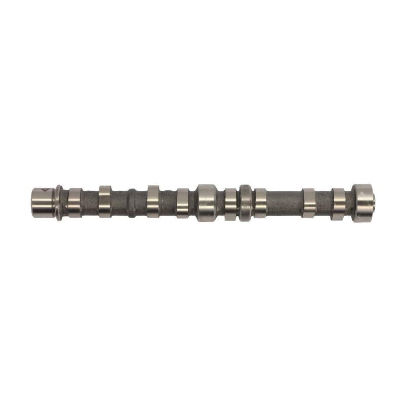 INA 428010210 Camshaft