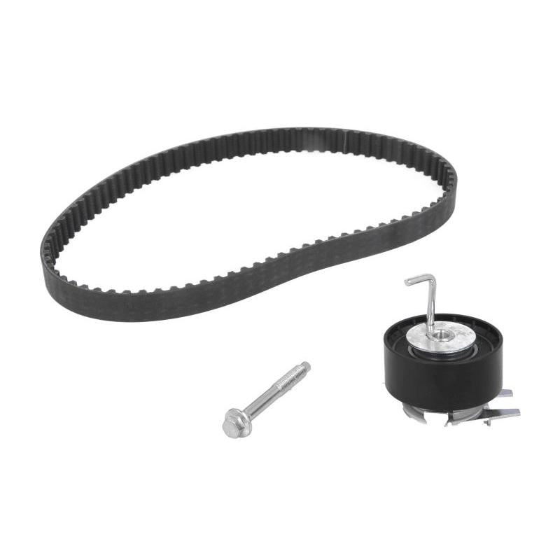 INA 530047610 Timing Belt Set