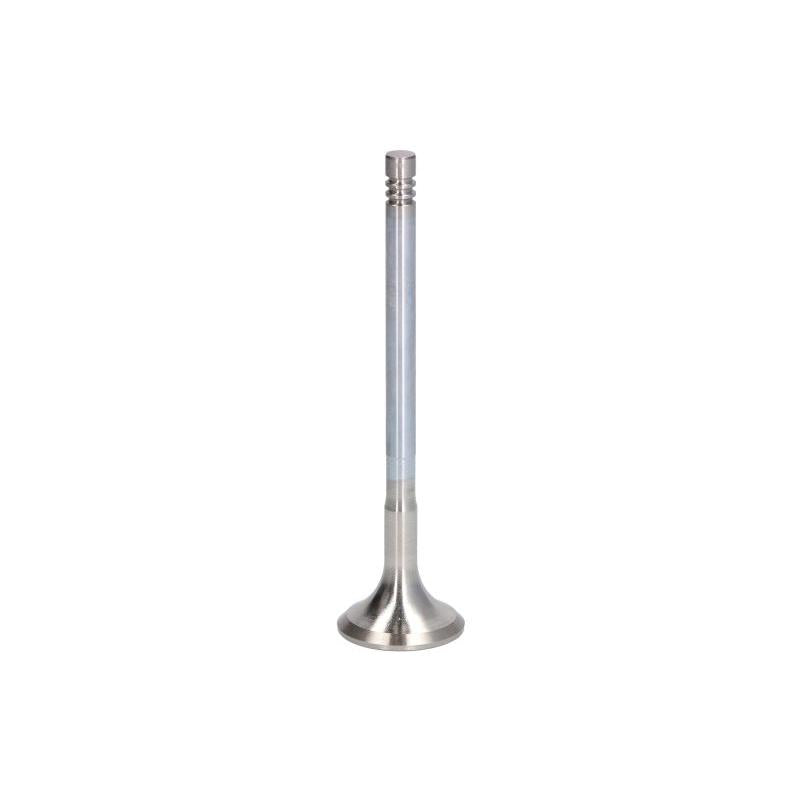 TRW 181122 Exhaust Valve