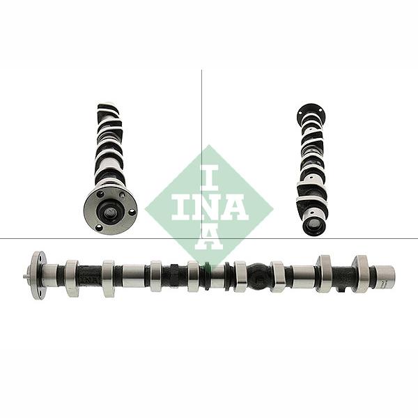 INA 428018410 Camshaft