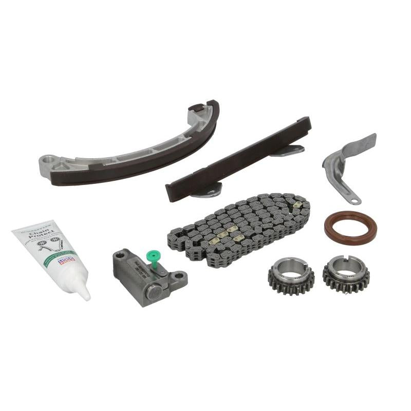 INA 559100140 Timing Chain Kit