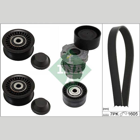 INA 529031610 V-Ribbed Belt Set