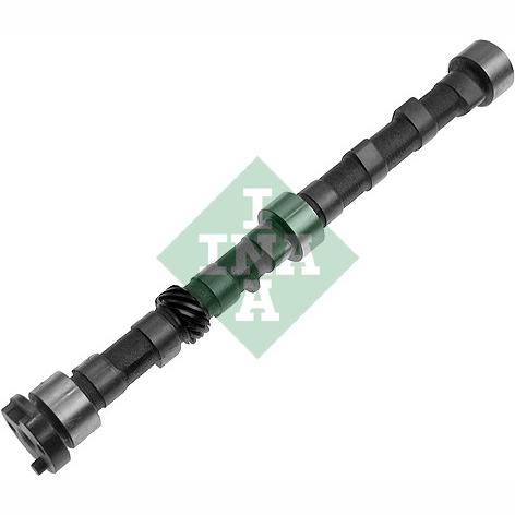 INA 428003810 Camshaft