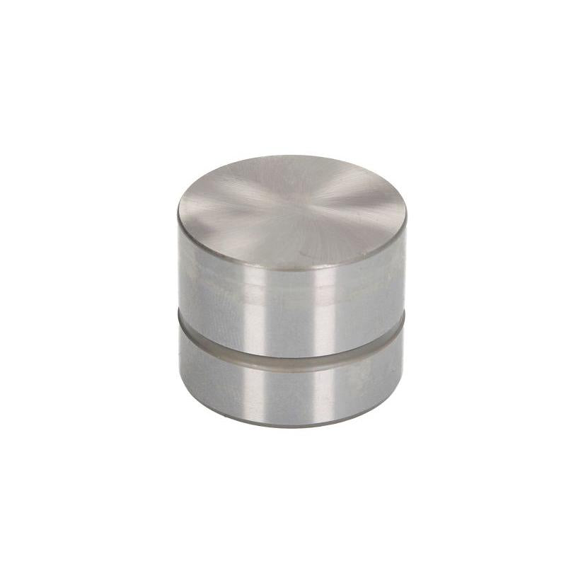 INA 420007410 Tappet