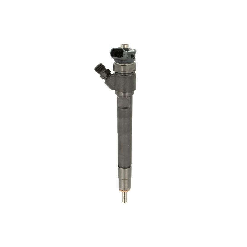 BOSCH 110-430 Injector
