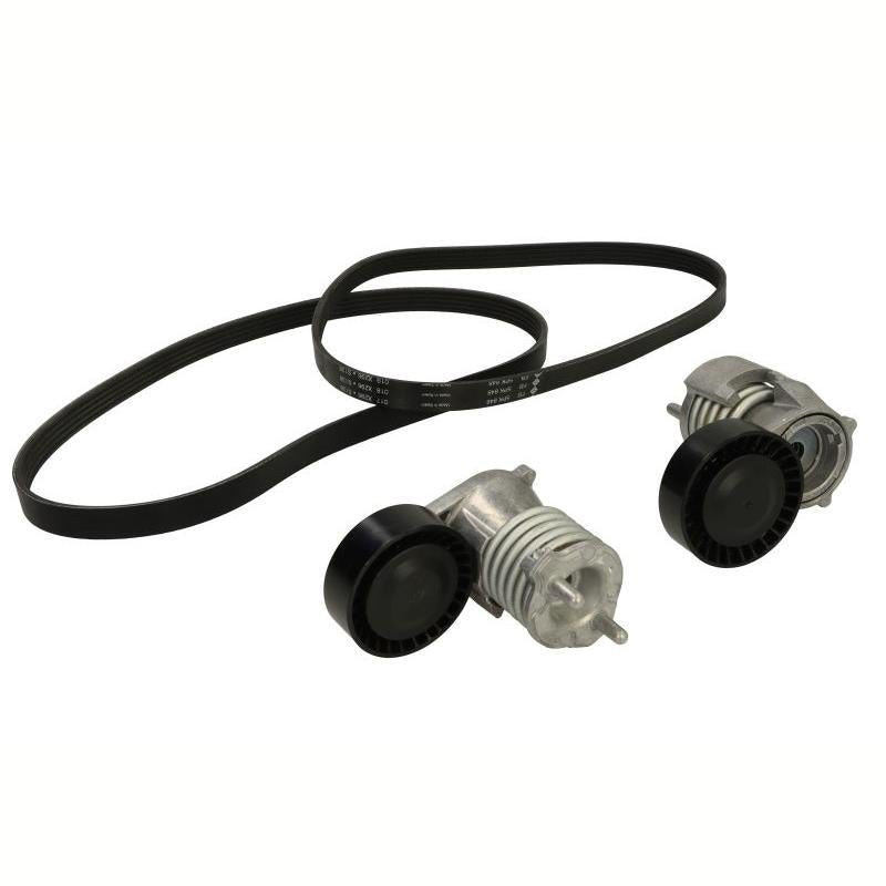 INA 529049010 V-Ribbed Belt Set
