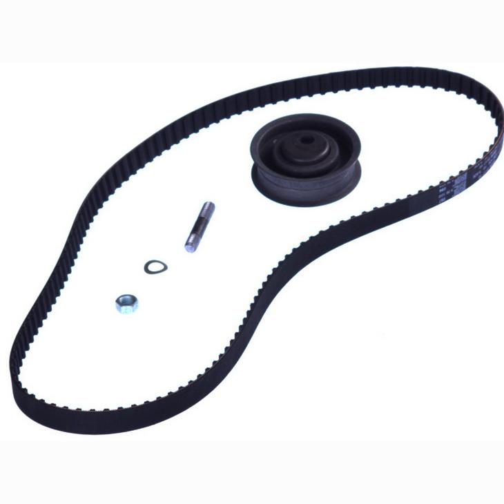 INA 530014910 Timing Belt Set