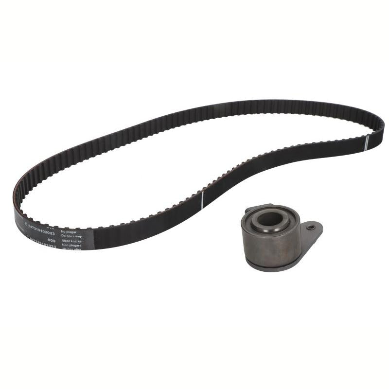 INA 530024810 Timing Belt Set