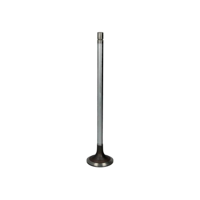 TRW 171072 Intake Valve